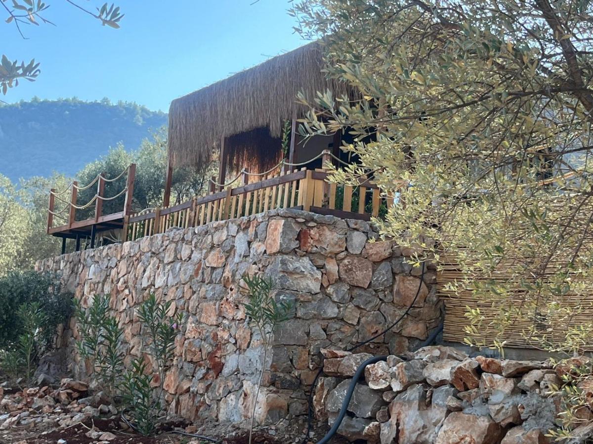 Lovin Goecek Tiny House Butterfly Villa Gokceovacik Exterior photo